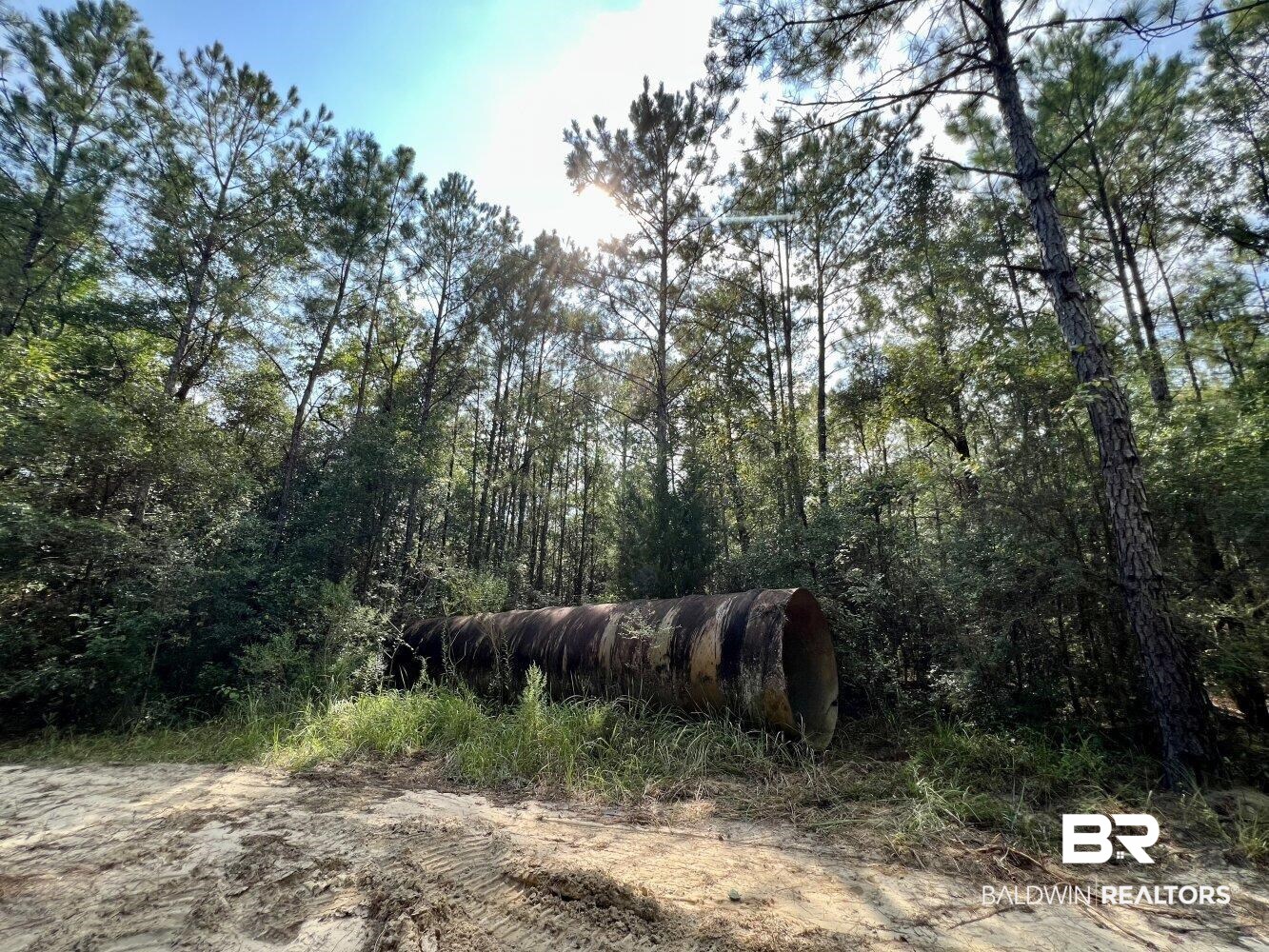 0 Bear Fork Road Mobile, AL 36618 - Photo 19 of 50