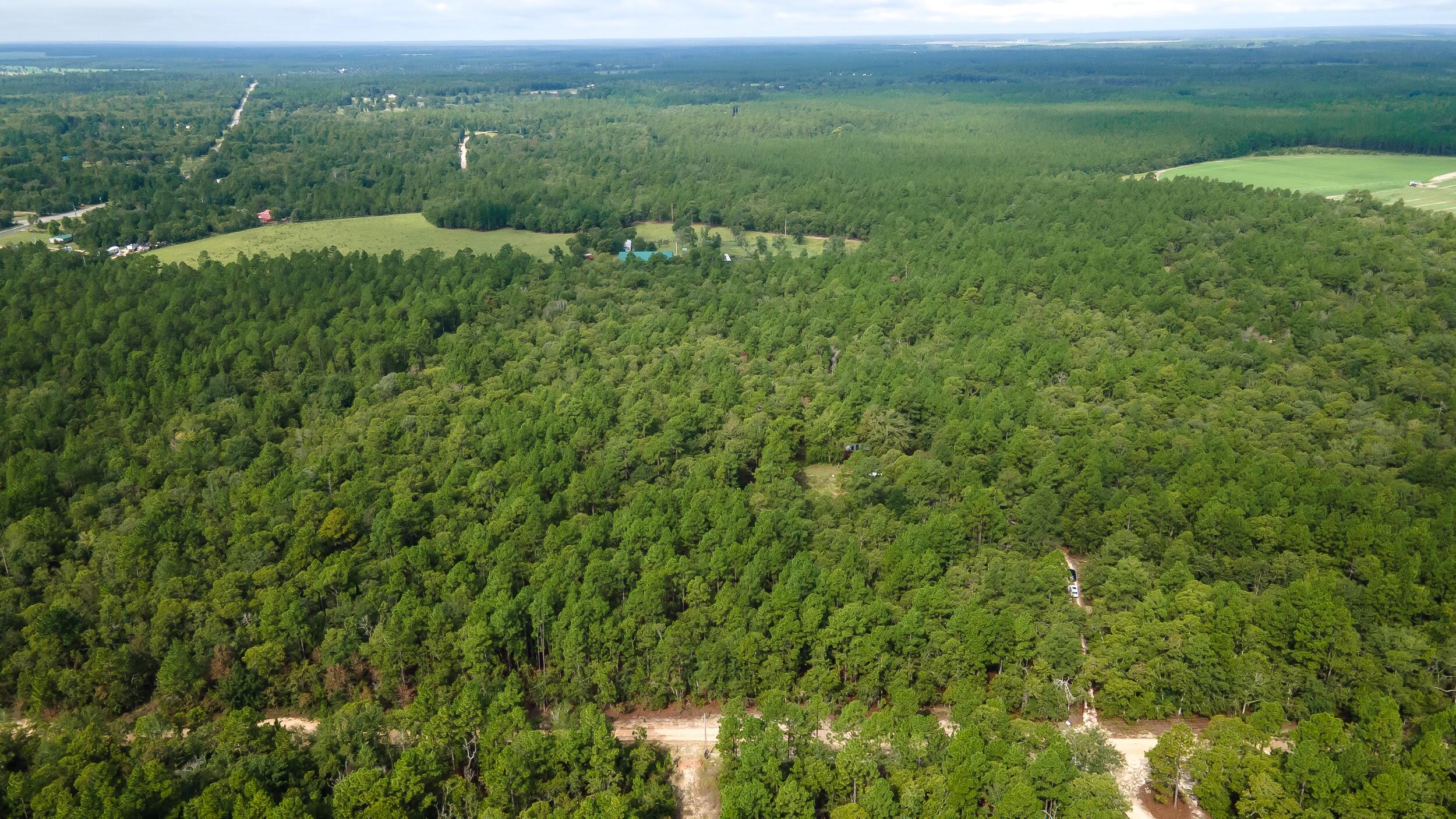 1023 Windsor Road Windsor, SC 29856 - Photo 13 of 13