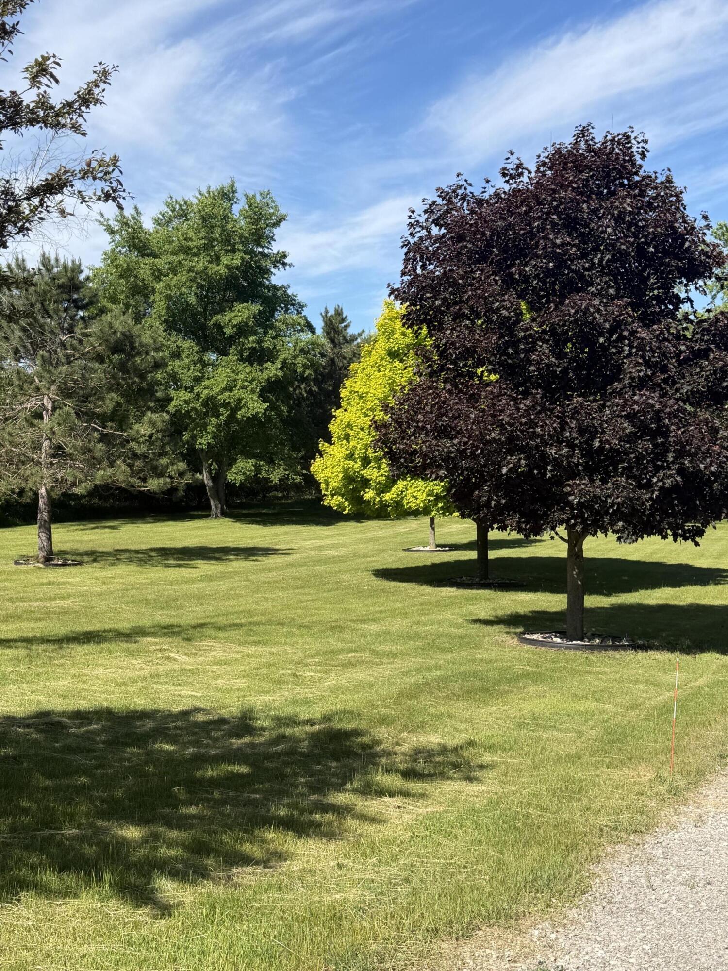 1595 South Poor Farm Road Mikado, MI 48745 - Photo 4 of 78 1595 front yard June