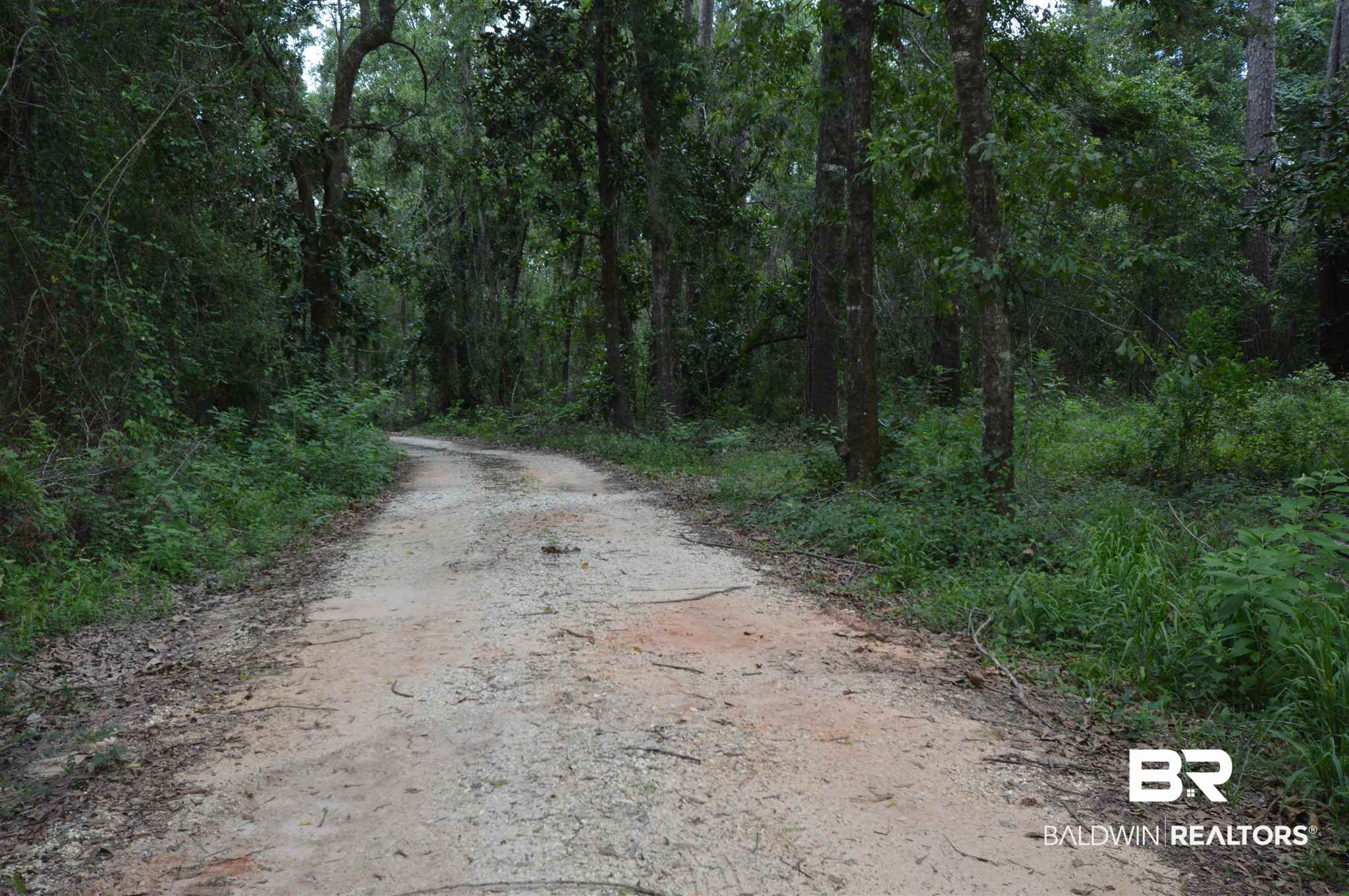 Lot 3 3rd Street Lillian, AL 36549 - Photo 4 of 10
