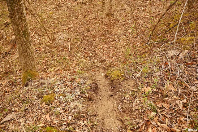 $288,157 | 860 400 N Avenue, Mount Sterling, IL 62353