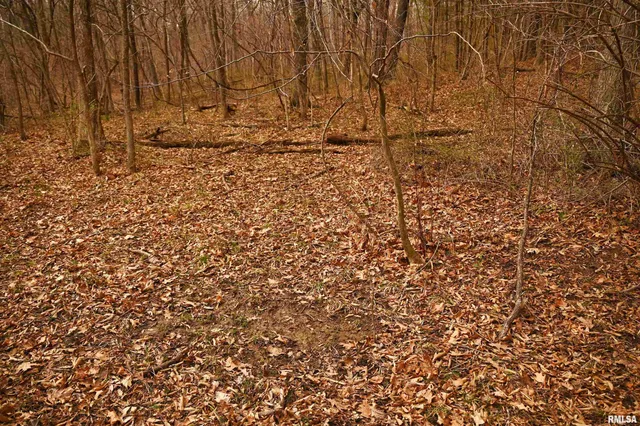 $288,157 | 860 400 N Avenue, Mount Sterling, IL 62353