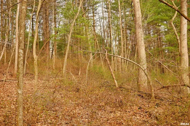 $288,157 | 860 400 N Avenue, Mount Sterling, IL 62353