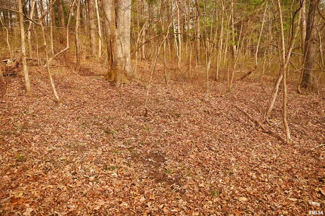 $288,157 | 860 400 N Avenue, Mount Sterling, IL 62353