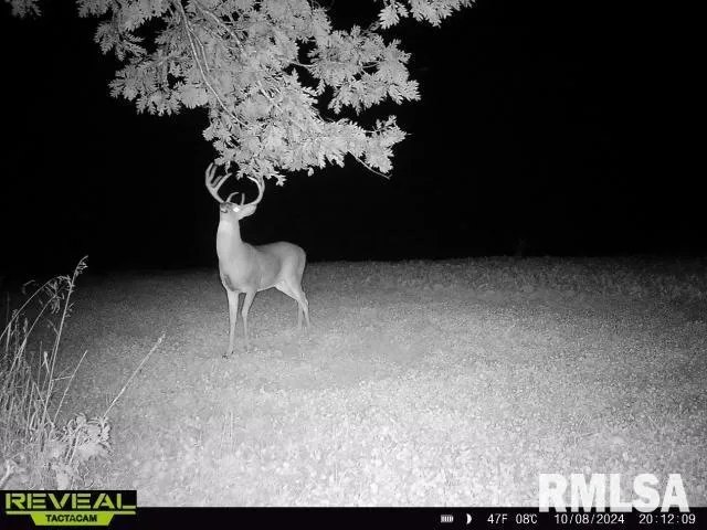 $288,157 | 860 400 N Avenue, Mount Sterling, IL 62353