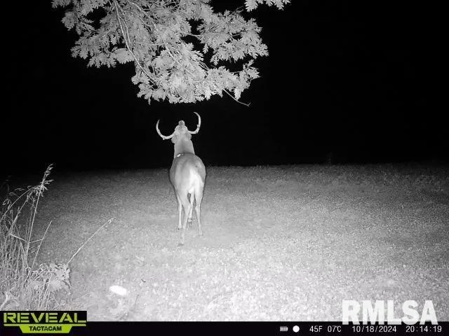 $288,157 | 860 400 N Avenue, Mount Sterling, IL 62353