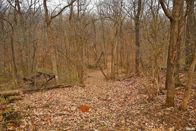 $288,157 | 860 400 N Avenue, Mount Sterling, IL 62353