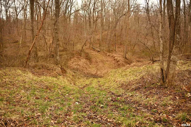 $288,157 | 860 400 N Avenue, Mount Sterling, IL 62353