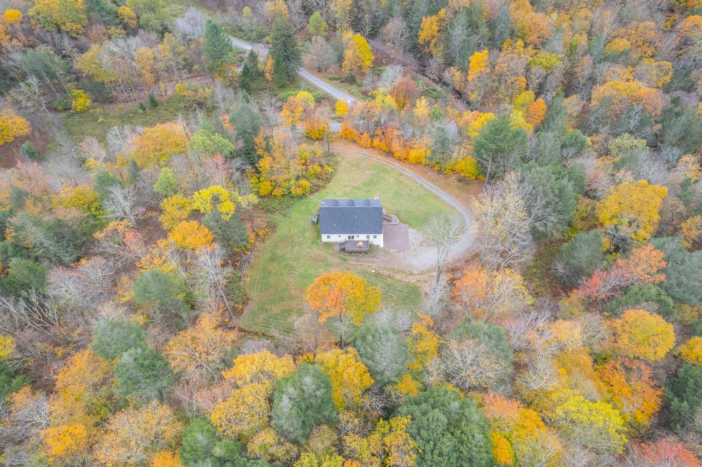 45 Campbell Mountain Road Downsville, NY 13755 - Photo 5 of 34 a picture of a tree