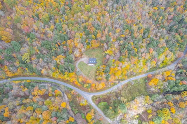 a close up of a plant