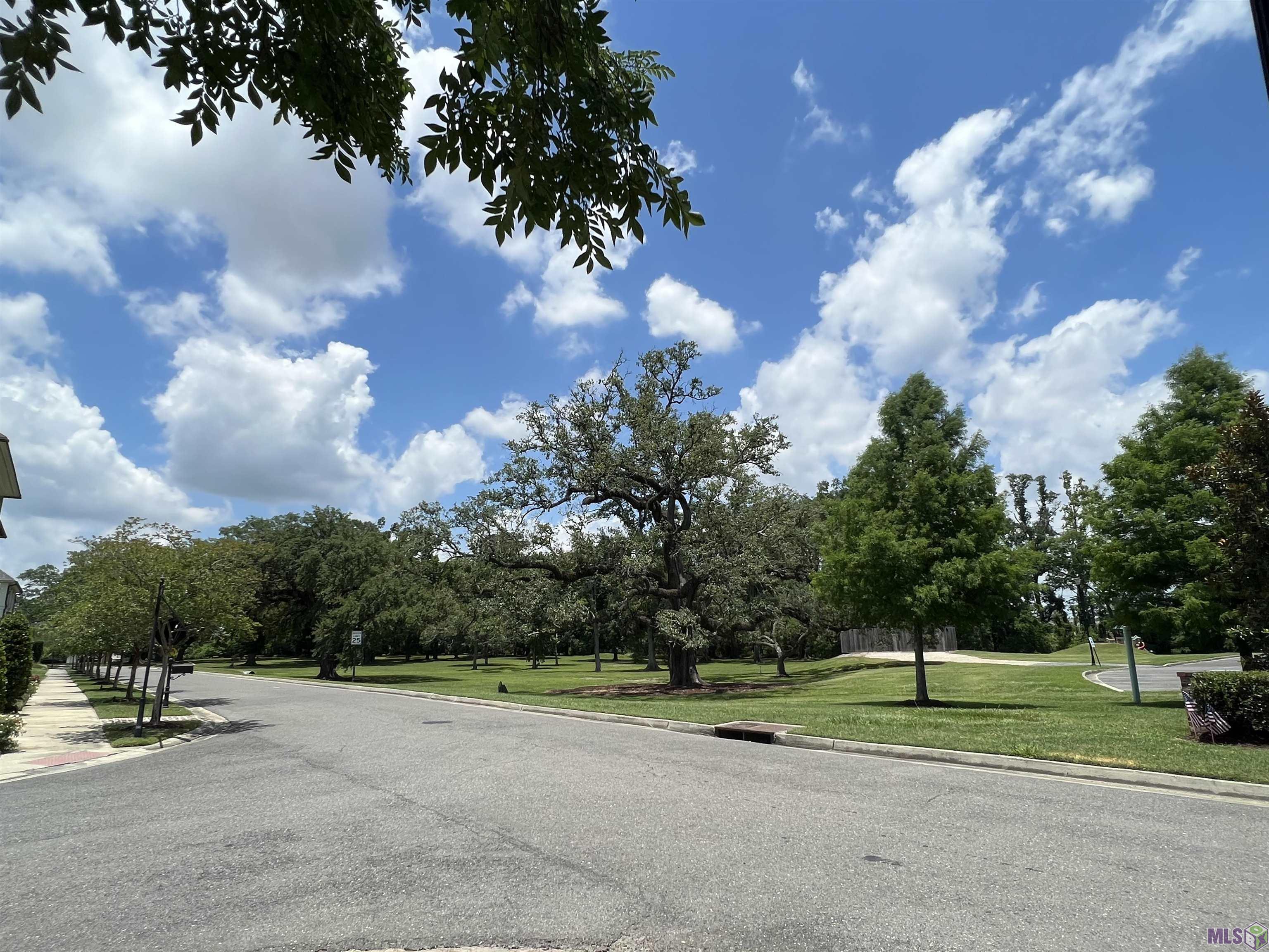 0 Silo Drive Baton Rouge, LA 70810 - Photo 19 of 21