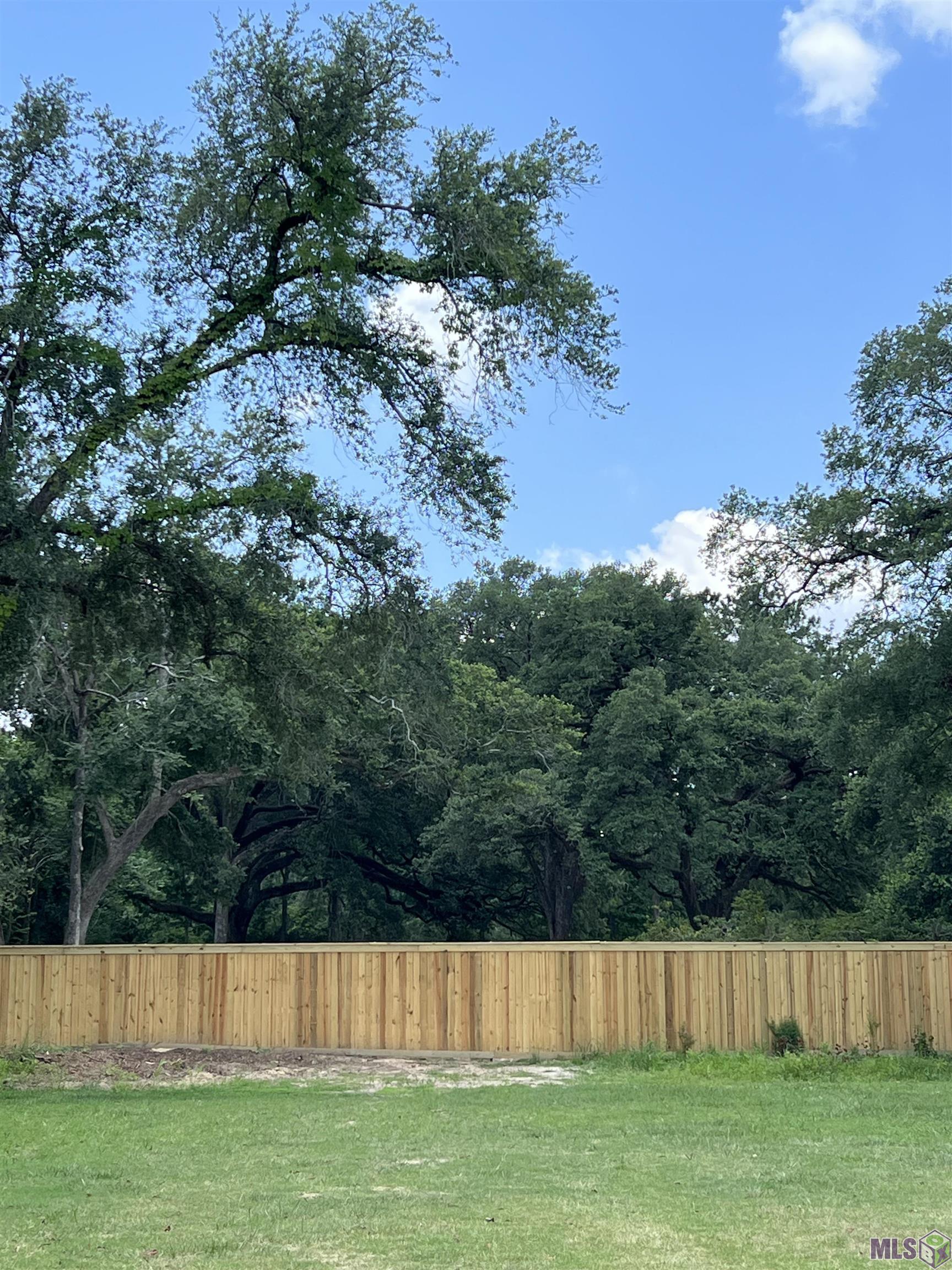 0 Silo Drive Baton Rouge, LA 70810 - Photo 5 of 21