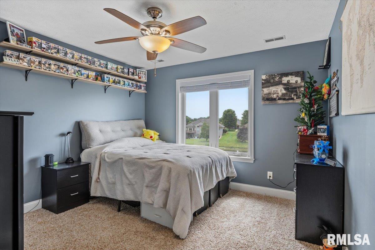 1070 Nine Rock Road Sherman, IL 62684 - Photo 44 of 80 Gallery Image 44