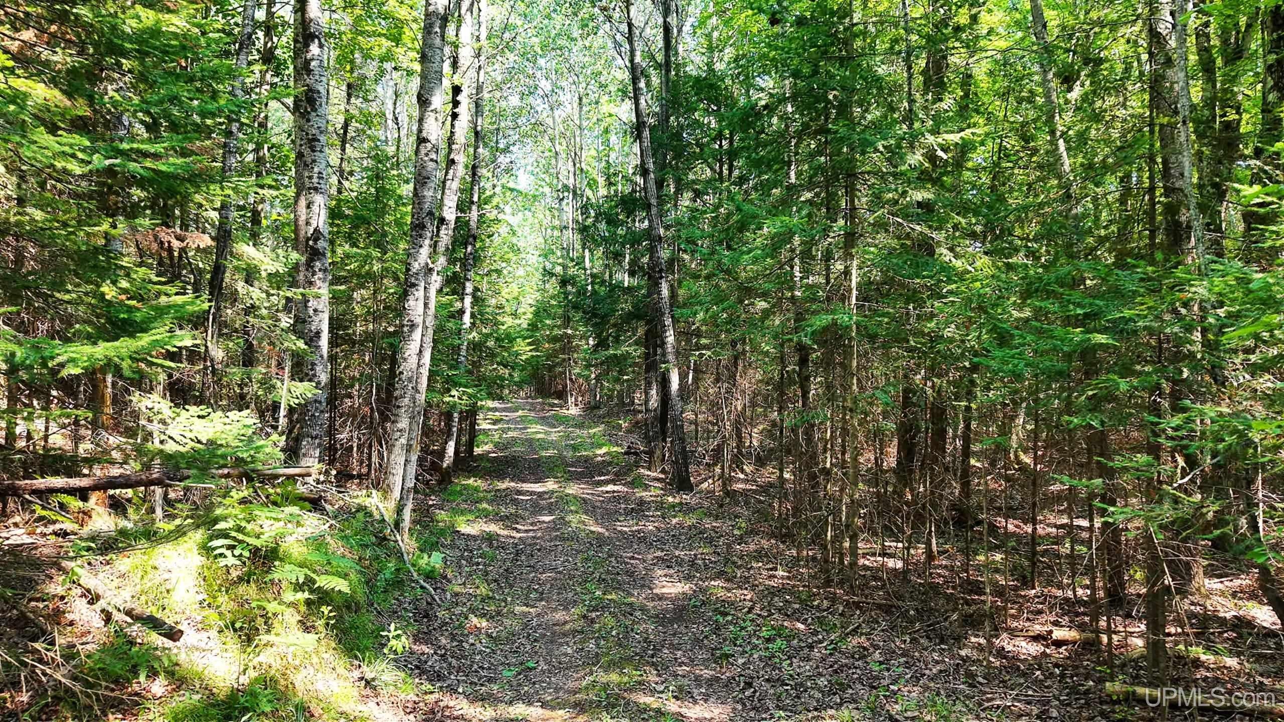Tbd G Road Escanaba, MI 49829 - Photo 3 of 15 Gallery Image 3