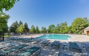 526 Springview Drive Rochester, MI 48307 - Photo 93 of 96 pool lounge area