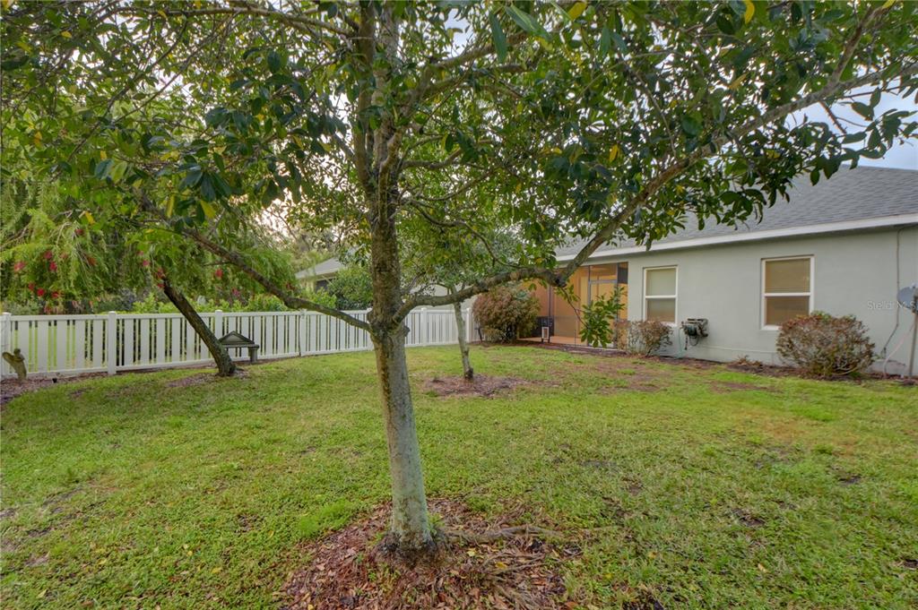 7408 Ridgelake Circle Bradenton, FL 34203 - Photo 39 of 39 a view of a house with backyard and trees