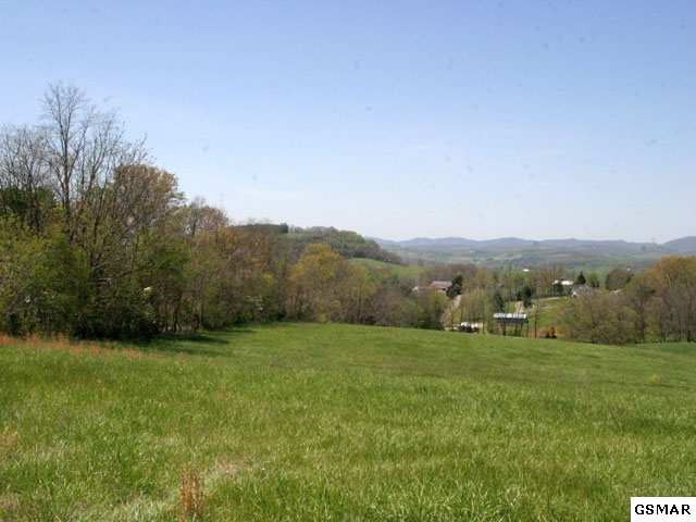 13 Locust Road Rutledge, TN 37861 - Photo 1 of 8 Gallery Image 1
