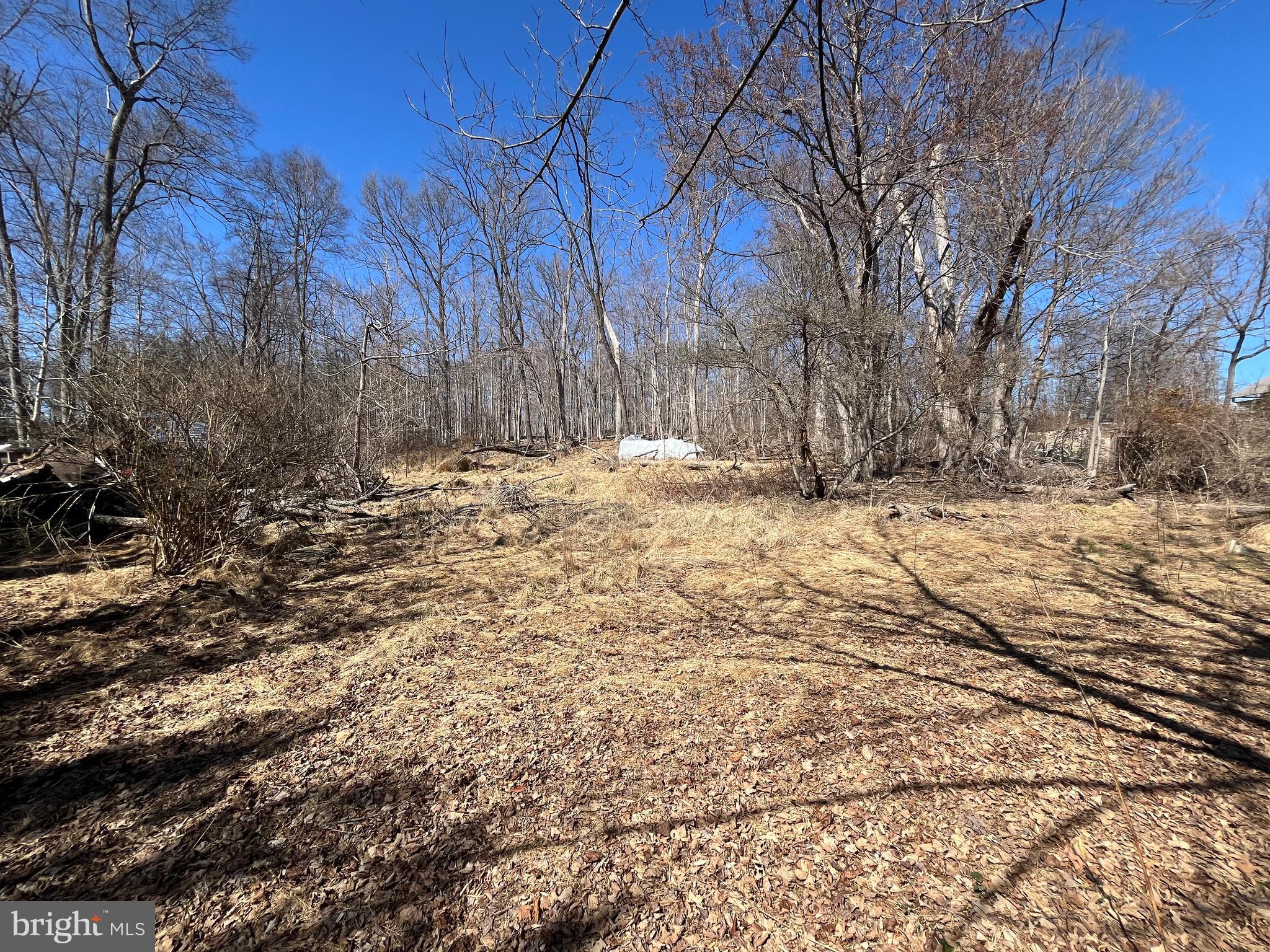 1165 Apple Road Quakertown, PA 18951 - Photo 37 of 46 a view of side of snow with trees