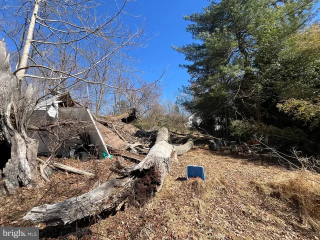 a view of a yard of the house