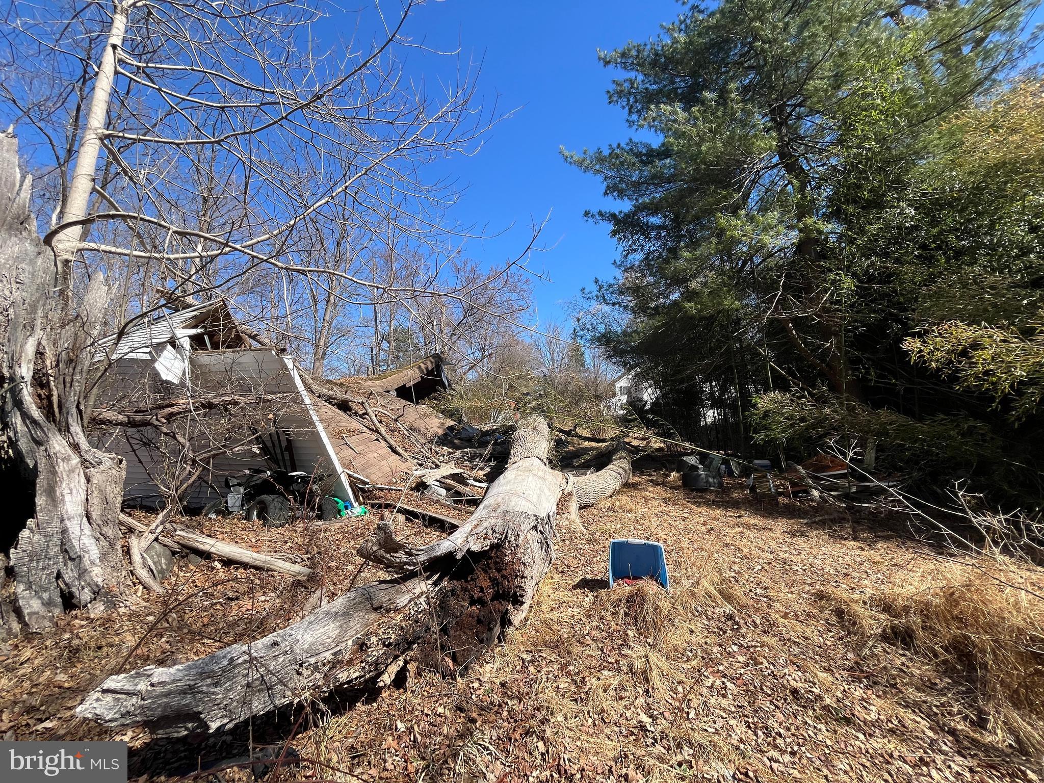 1165 Apple Road Quakertown, PA 18951 - Photo 41 of 46 a view of a yard