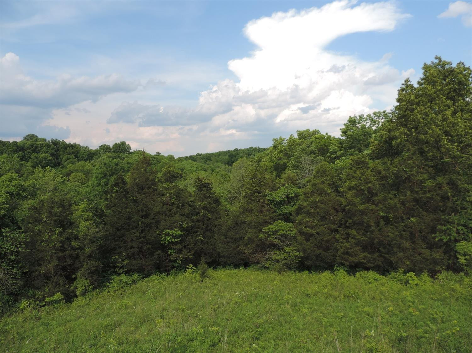 14080 Georgetown Road Stamping Ground, KY 40379 - Photo 19 of 21 Listing Photo