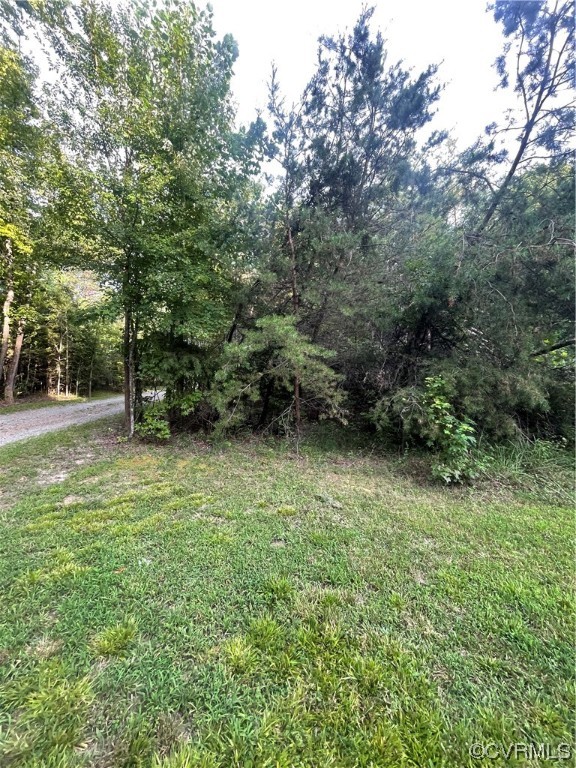 0 Cartersville Road Cartersville, VA 23027 - Photo 1 of 3 View of yard
