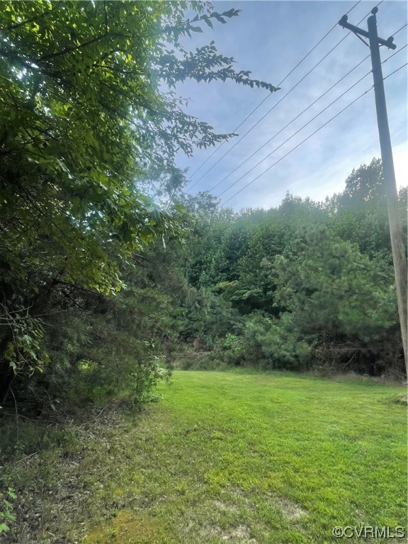 0 Cartersville Road Cartersville, VA 23027 - Photo 2 of 3 View of yard