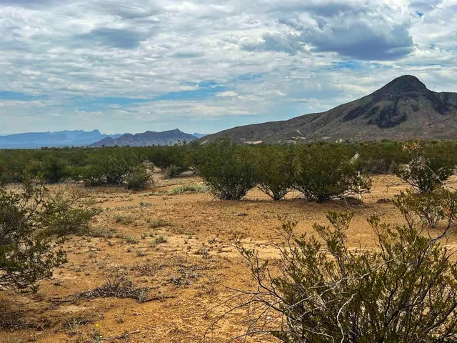 a view of lake with mountain