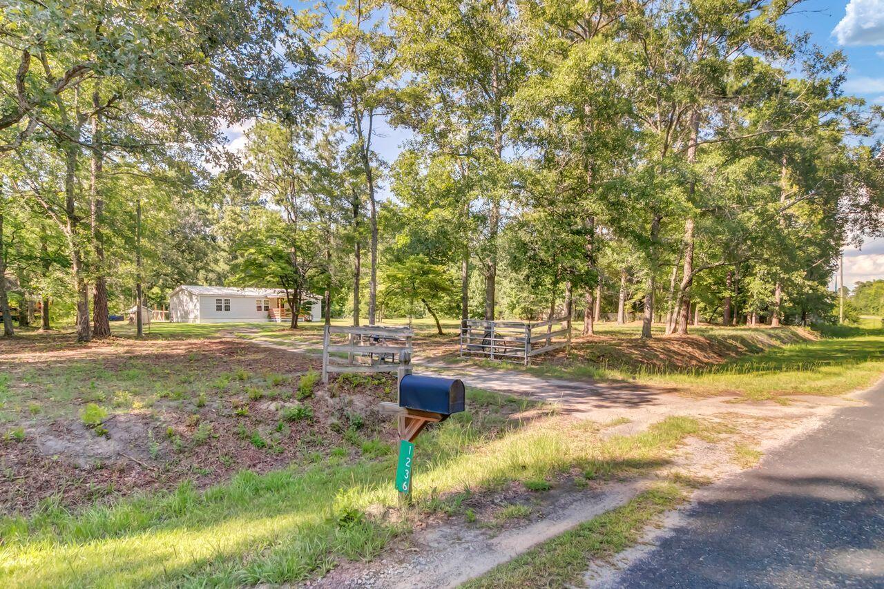 1236 Spring Hill Church Road Ridgeville, SC 29472 - Photo 29 of 45 IMG_9449