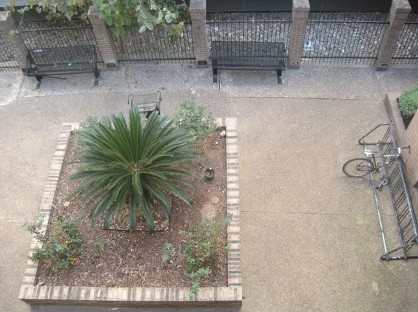 a view of a yard with a sitting area