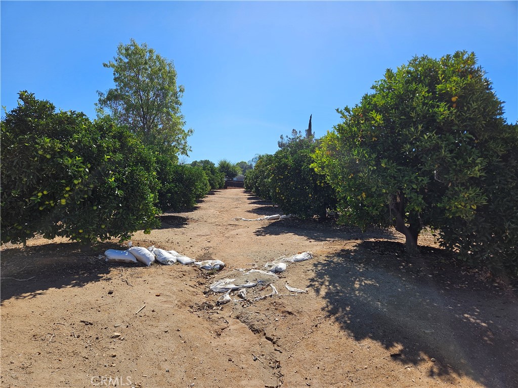 33340 Windmill Road Wildomar, CA 92595 - Photo 16 of 39 Another Community Orchard