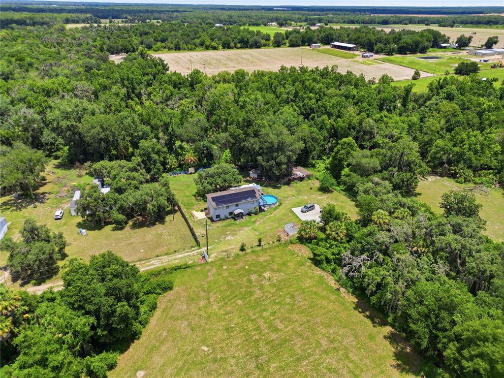 3126 Toole Road Lithia, FL 33547 - Photo 55 of 66
