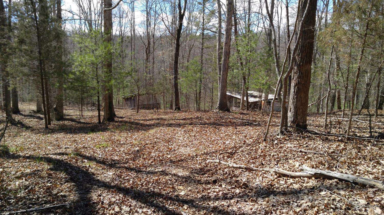 0 Otterville Road Bedford, VA 24523 - Photo 12 of 21 12