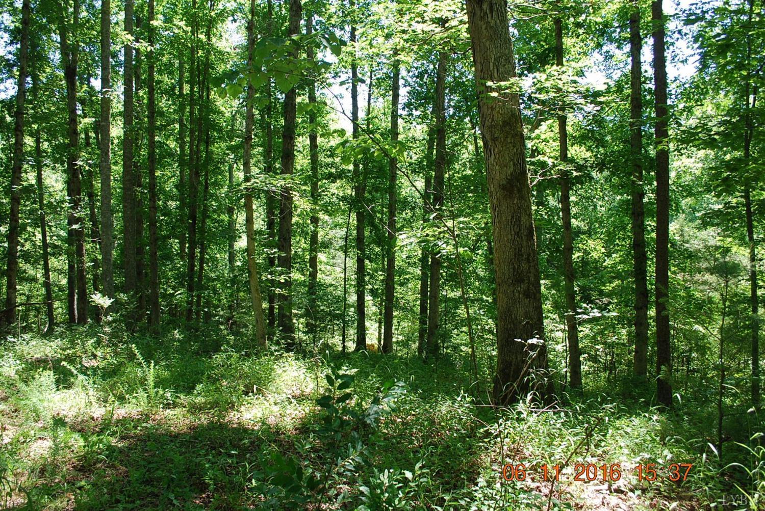 0 Otterville Road Bedford, VA 24523 - Photo 18 of 21 18