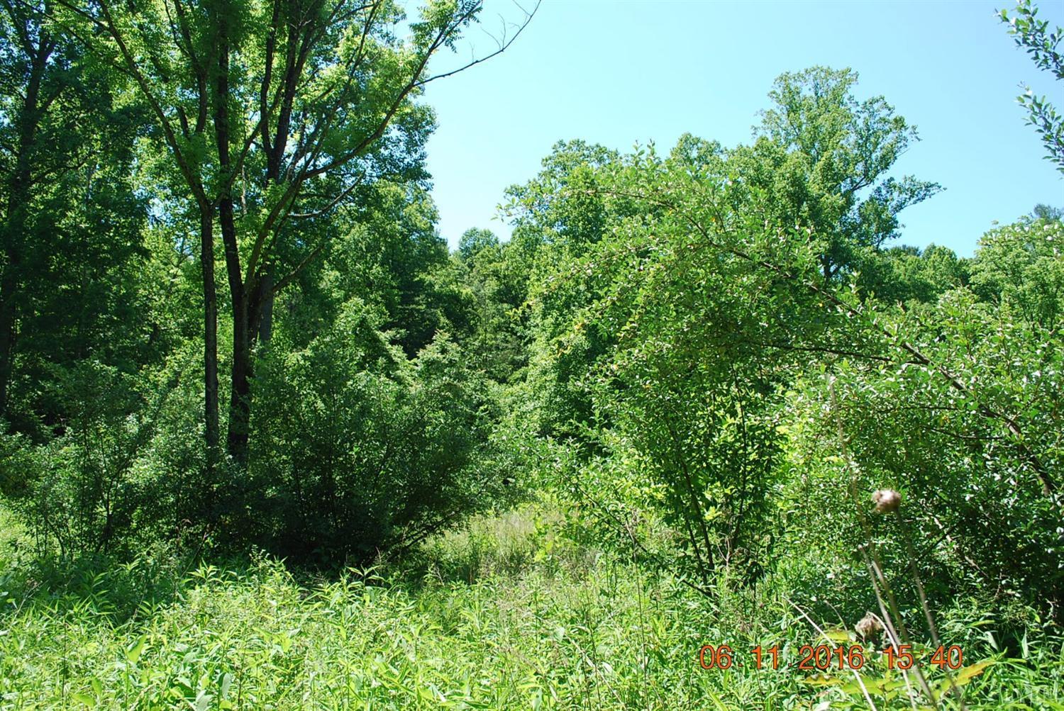 0 Otterville Road Bedford, VA 24523 - Photo 20 of 21 20
