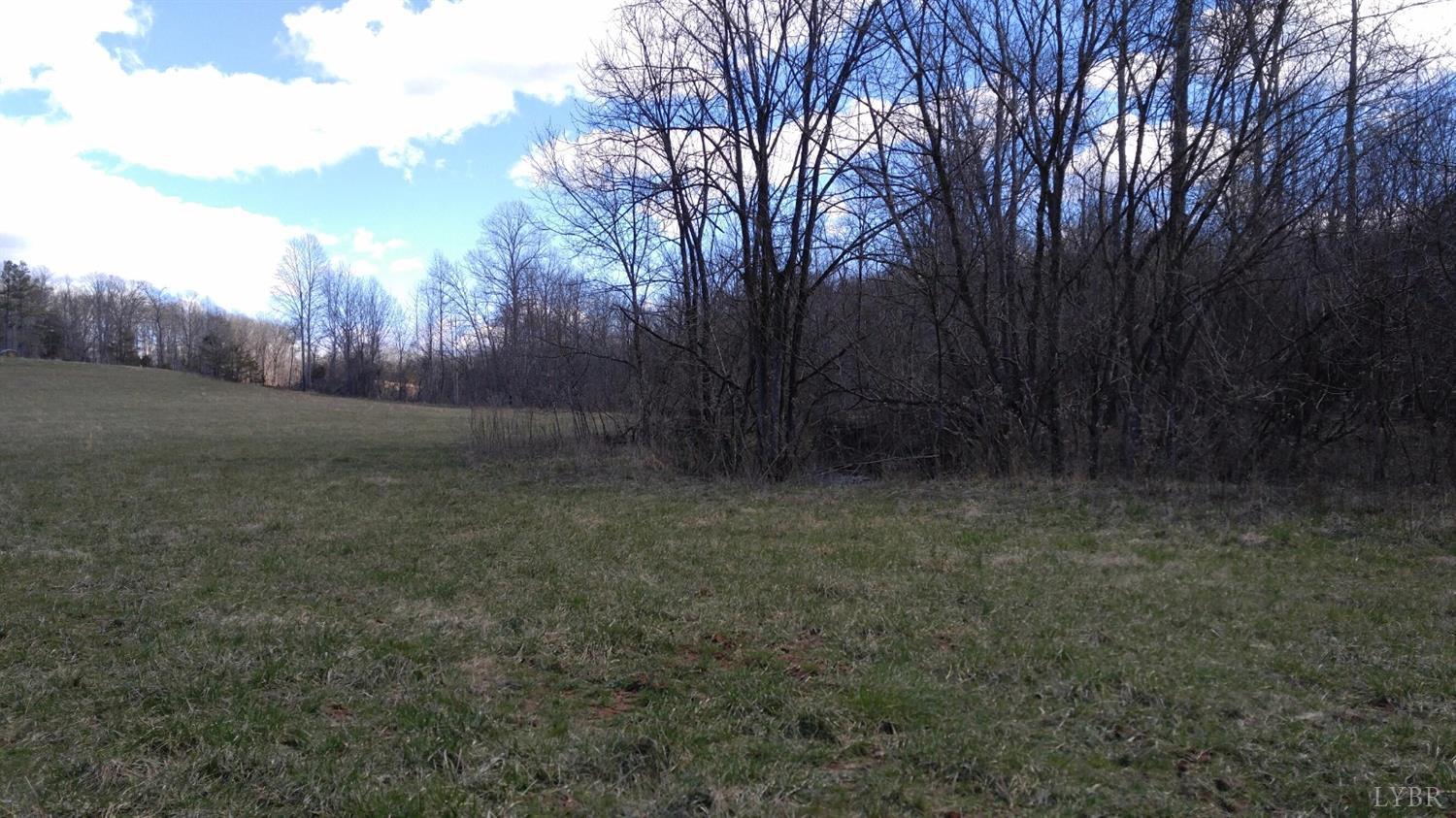 0 Otterville Road Bedford, VA 24523 - Photo 10 of 21 10