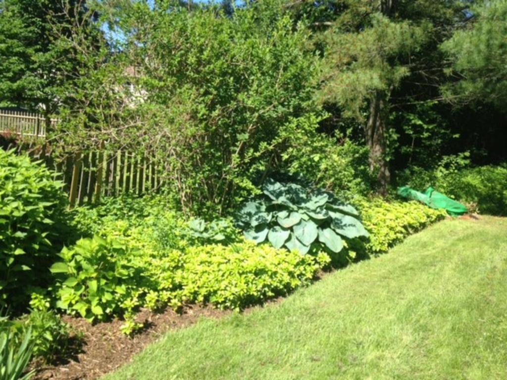 112 Steeplebush Road Shelburne, VT 05482 - Photo 28 of 36 Gallery Image 28