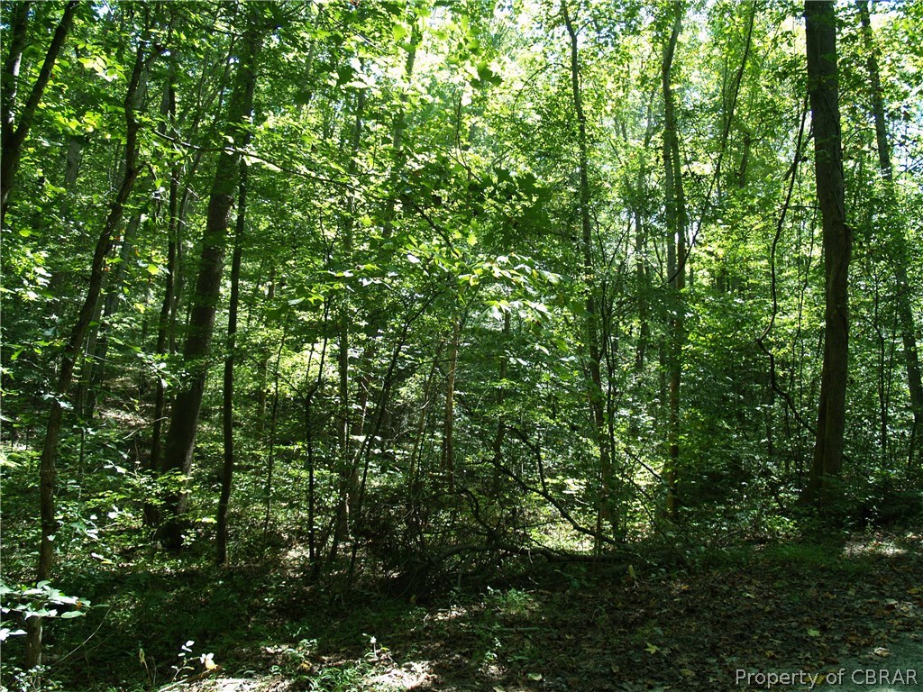 24-134 Spring Hill Farm Road Gloucester, VA 23061 - Photo 2 of 4