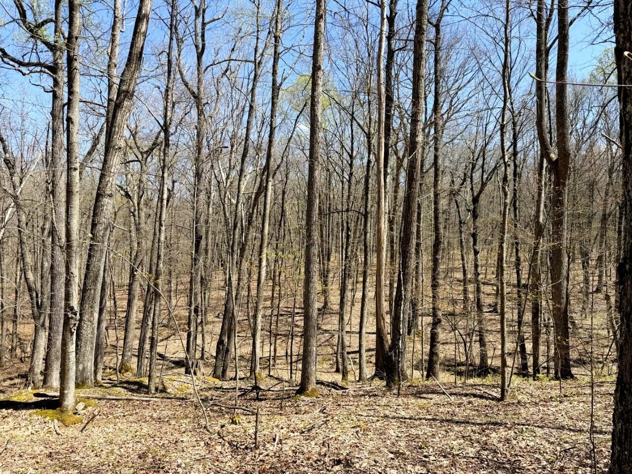 0 Iona Road White Oak, WV 25989 - Photo 6 of 16 Tract-16-IMG_3723