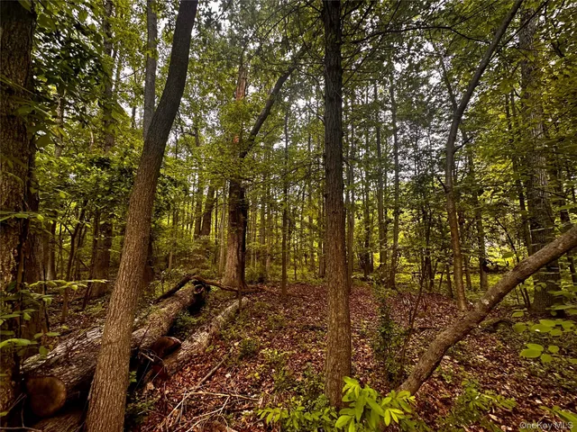 $650,000 | 28 Ludlow Lane, Palisades, NY 10964