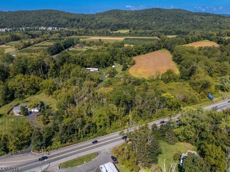 305 Rt 31 Oxford, NJ 07863 - Photo 10 of 16 a view of a forest with a yard