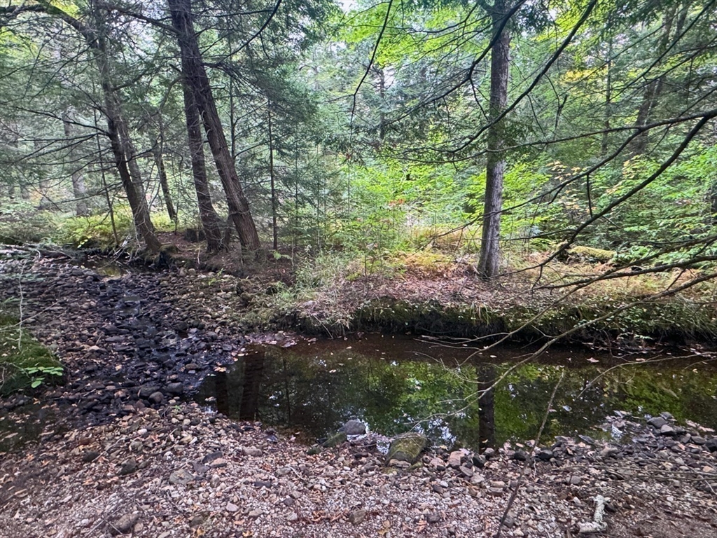 60 Stone Hill Road Rowe, MA 01367 - Photo 11 of 28 a backyard of a house with lots of green space