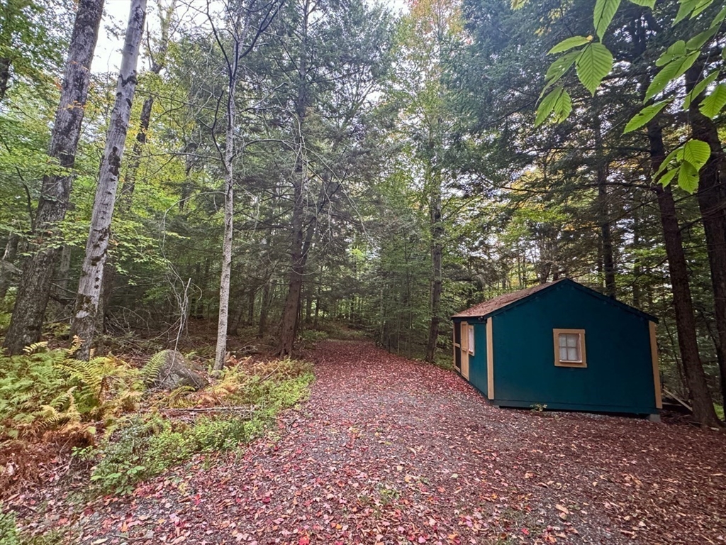 60 Stone Hill Road Rowe, MA 01367 - Photo 26 of 28 a view of a trees in a yard