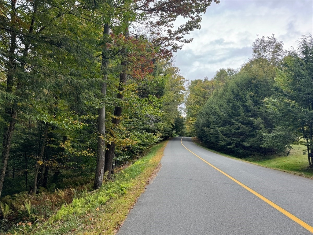 60 Stone Hill Road Rowe, MA 01367 - Photo 28 of 28 a view of a pathway of a garden