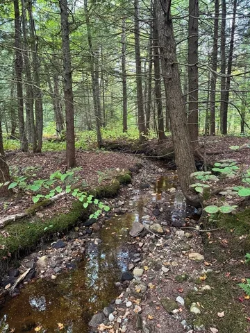 a view of outdoor space and trees