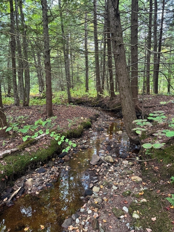 60 Stone Hill Road Rowe, MA 01367 - Photo 9 of 28 a view of outdoor space and trees