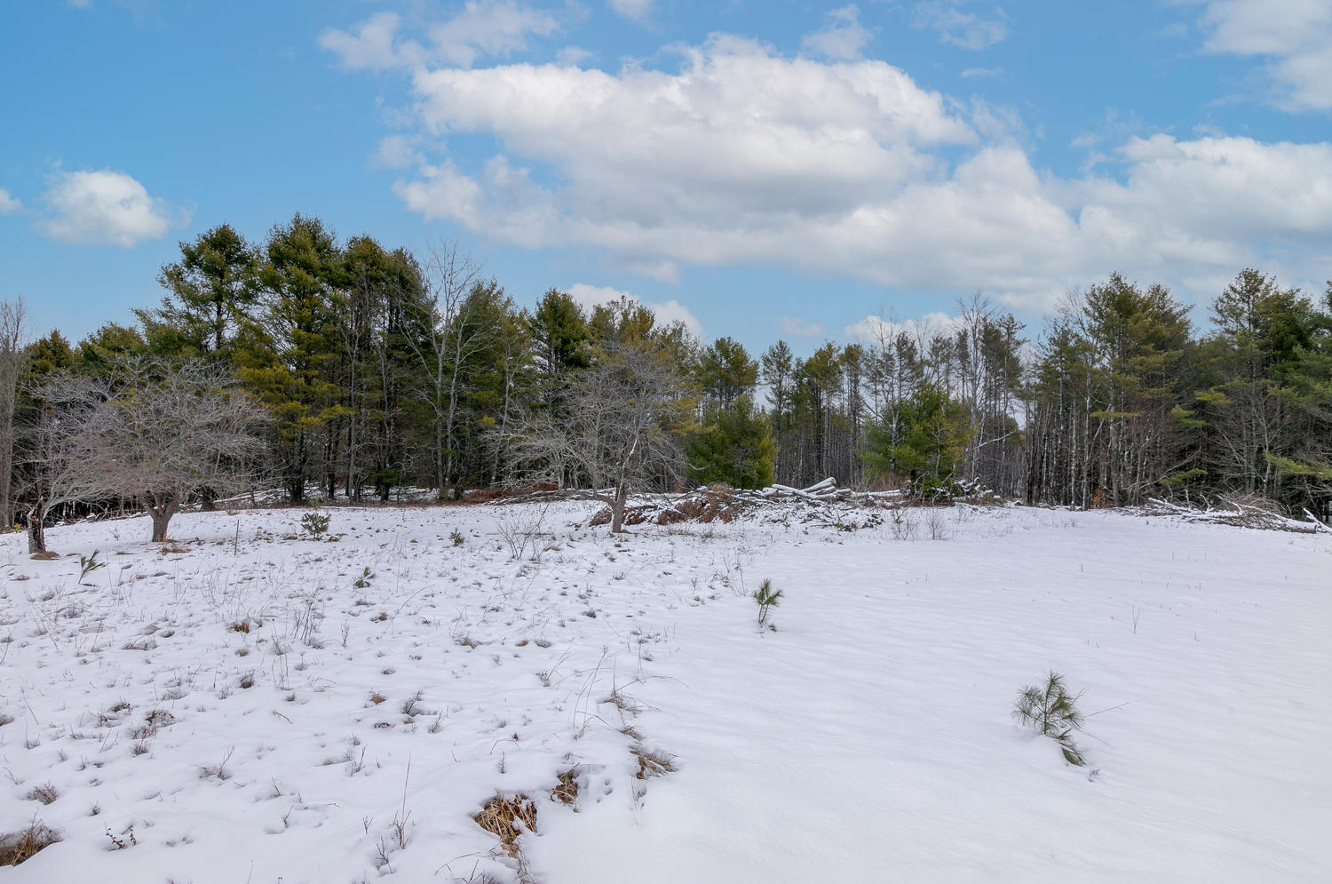 0 Upper Minot Road Pownal, ME 04069 - Photo 8 of 10 Looking toward the back