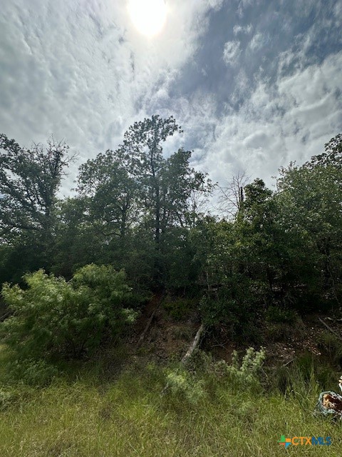 0 Tbd Drive Bastrop, TX 78602 - Photo 2 of 6 a view of a yard