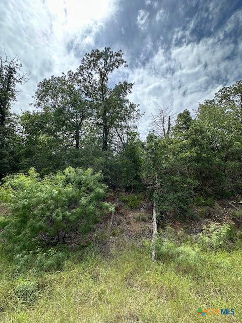 0 Tbd Drive Bastrop, TX 78602 - Photo 3 of 6 a view of a forest with a tree