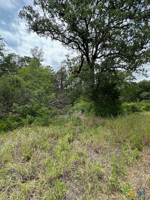0 Tbd Drive Bastrop, TX 78602 - Photo 4 of 6 a view of a lush green space
